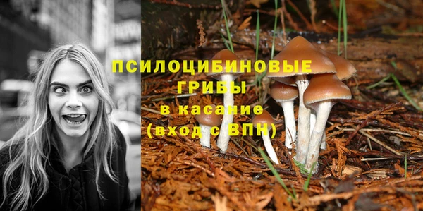 каннабис Абинск