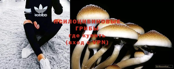 трава Абдулино