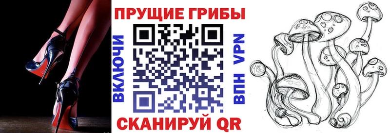 Псилоцибиновые грибы Psilocybe  где найти наркотики  Янаул 